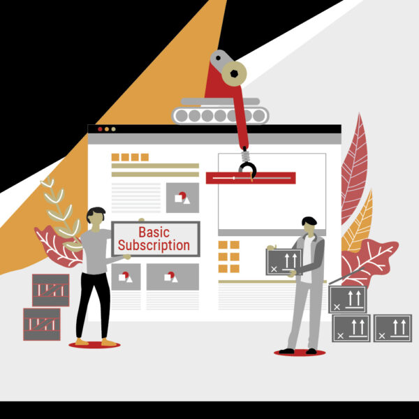Basic Website Subscription