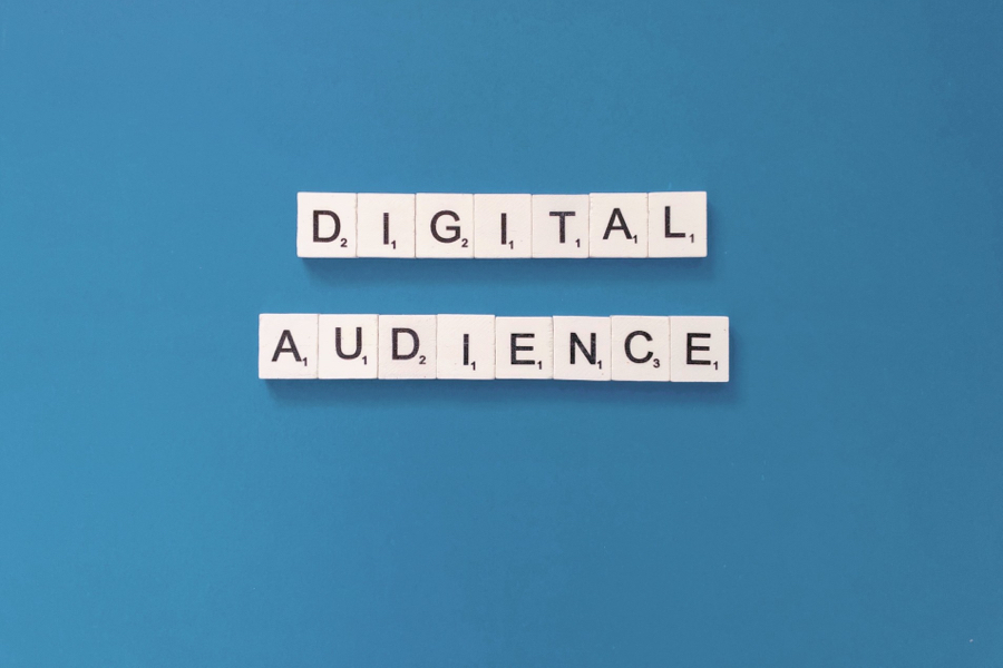 Media selection to find the digital audience
