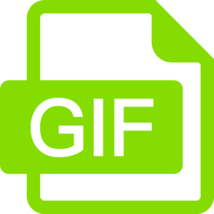 GIF Image Format Icon